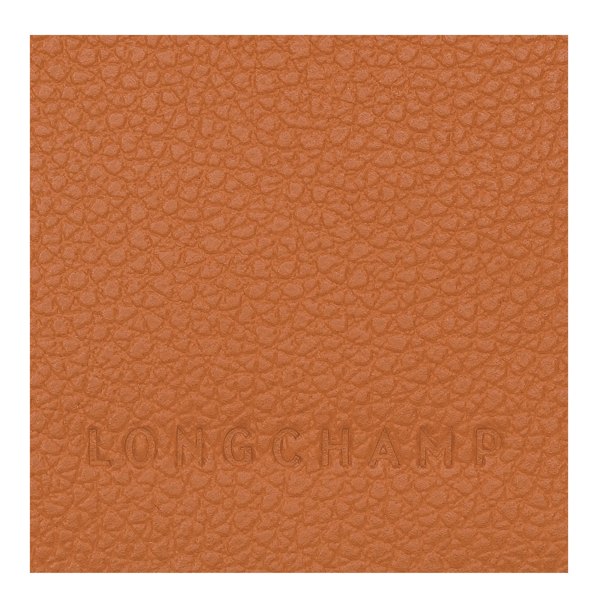 Capa de Passaporte Le Foulonné
